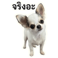 861447715