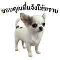 861447724