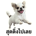 861447731