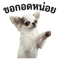 861447732