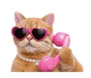 861453632