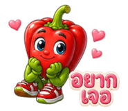 861455081