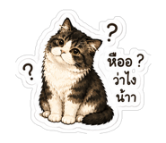 861455892