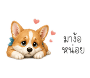 861456040