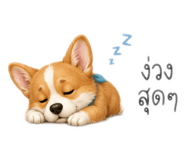 861456046