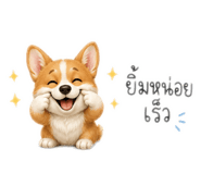 861456062
