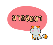 861456080