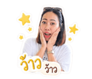 861456333