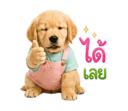 861456365