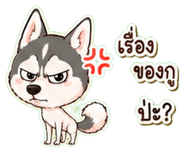 861456396