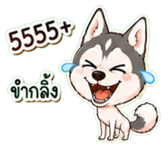 861456398