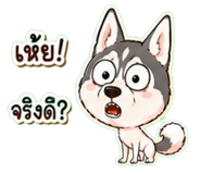 861456403