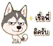 861456406