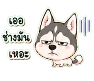 861456411