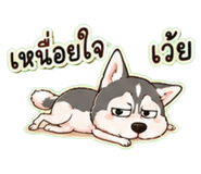 861456412