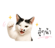 861457332
