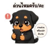 861457642