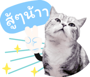 861470795