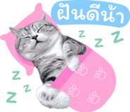 861470800