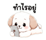 861471706