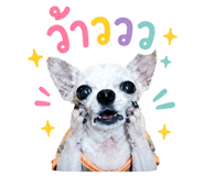 861472019