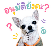 861472041