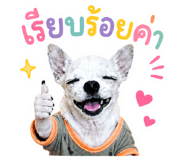 861472042