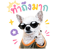 861472043