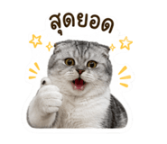 861472098