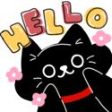 861472137
