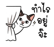 861472762