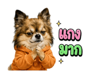 861478297