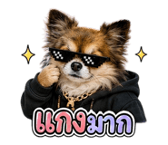 861478675