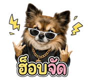 861479086