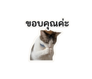 861484635