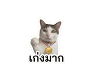 861484637