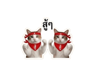 861484642