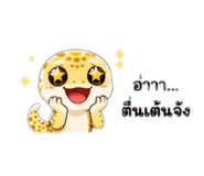 861492042