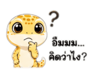 861492053