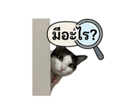 861504558