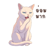 861512604