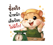 861522404