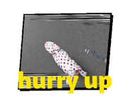 861536328