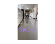 861564455