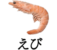 861605192