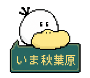 861622555