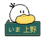 861622557