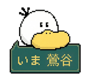 861622558