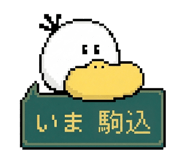 861622562