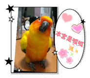 861633099